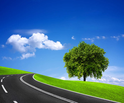 道路與綠地景觀