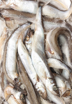 市場上的魚