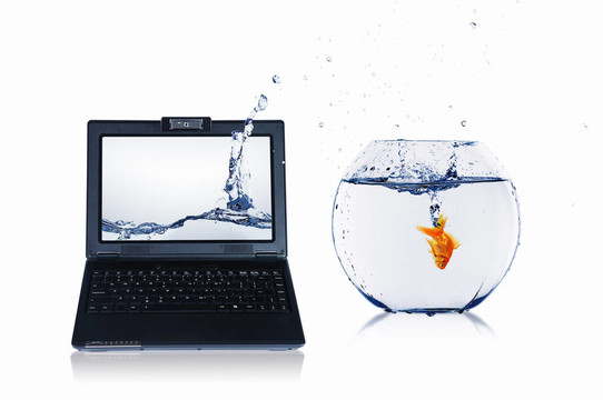 筆記本屏幕上的金魚