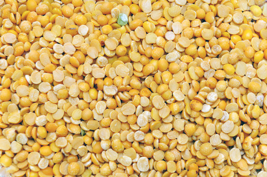 鱧DAL