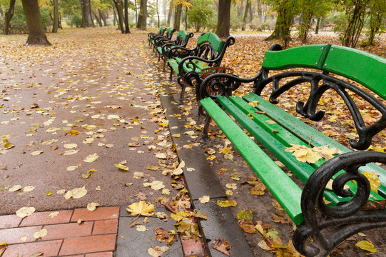 秋天的公園。多雨的天氣