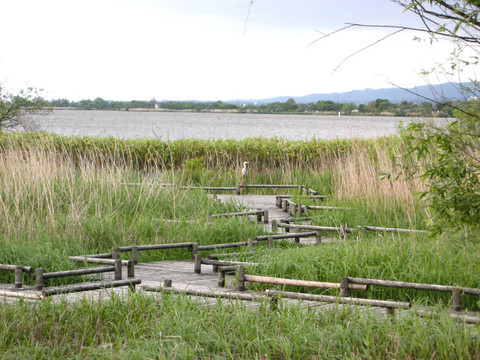 天橋到湖