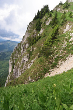 山坡
