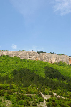 群山和森林