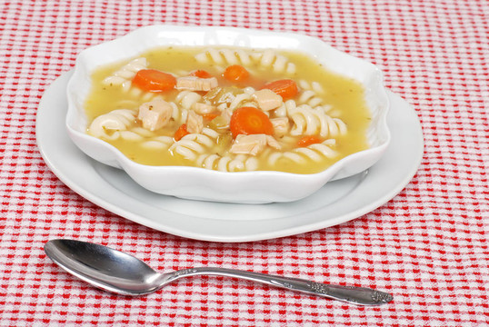 雞肉面條湯