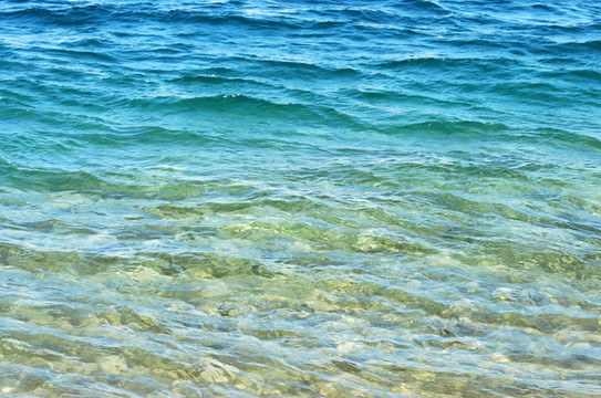 海洋的水