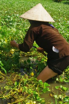 Grandma Kinh在現(xiàn)場