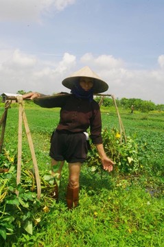 奶奶在現(xiàn)場