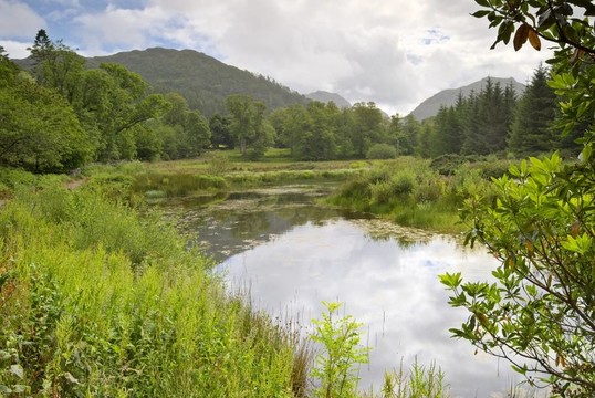 弗羅爾岱湖