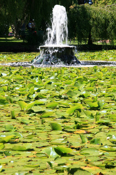筆架山公園；Victoria；公元前；加拿大