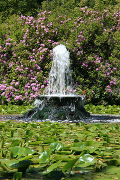 筆架山公園；Victoria；公元前；加拿大