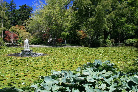 筆架山公園；Victoria；公元前；加拿大