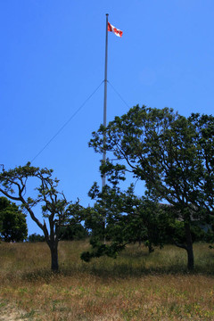 筆架山公園；Victoria；公元前；加拿大