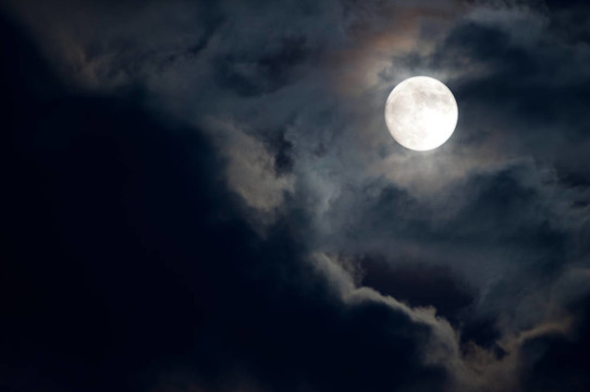 全Moon