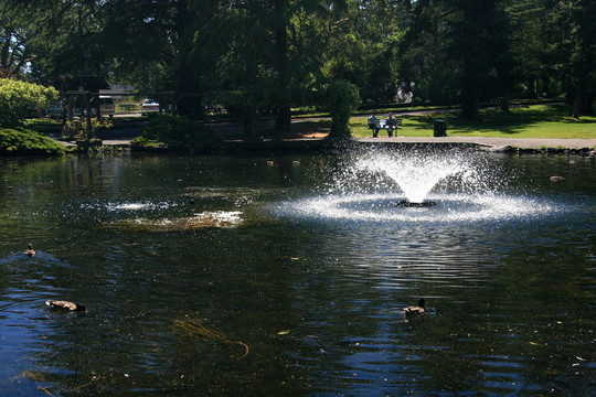 筆架山公園；Victoria；公元前；加拿大