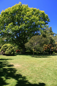 筆架山公園；Victoria；公元前；加拿大