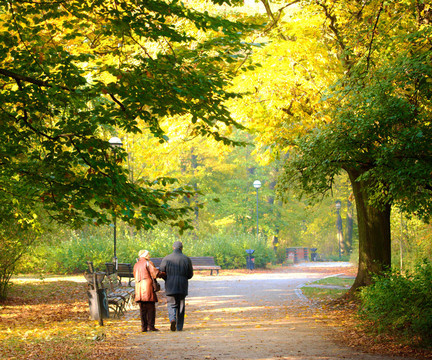公園里的老夫婦