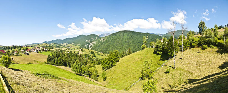 在喀爾巴阡山脈全景背景。羅馬尼亞山川秀美。