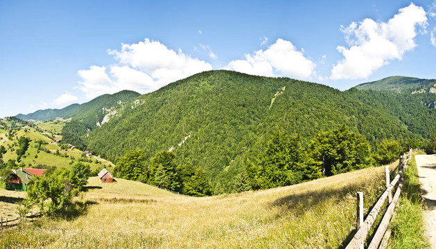 在喀爾巴阡山脈全景背景。羅馬尼亞山川秀美。