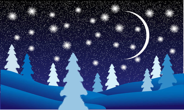 夜晚的冬季景觀