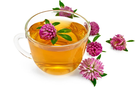 杯里有三葉草的草藥茶