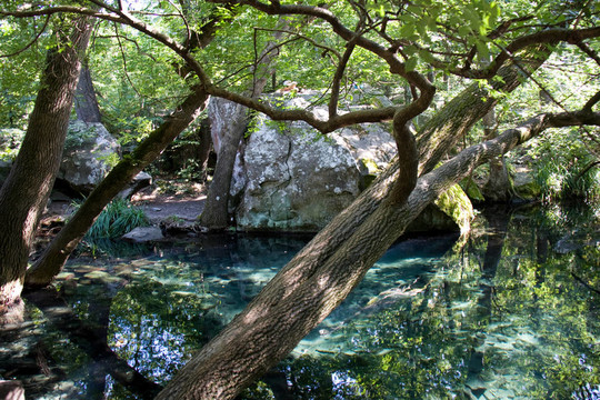 公園里的湖