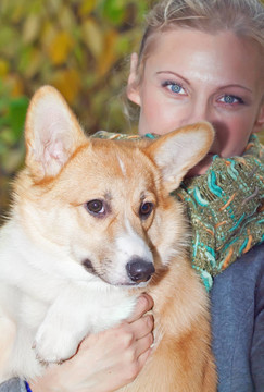 與女孩柯基犬小狗