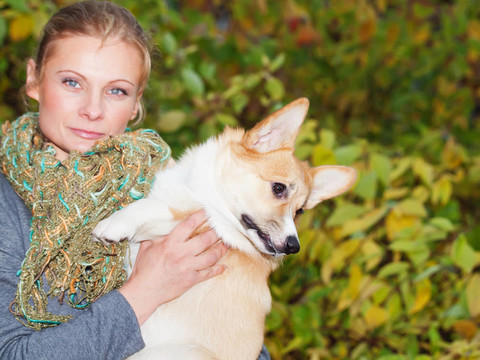 與女孩柯基犬小狗