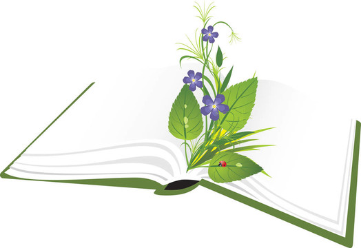 書和花束
