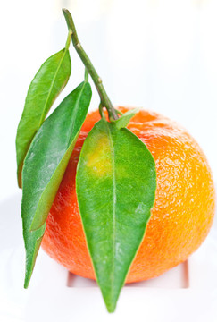 Tangerine夜店有綠色的葉子在盤子