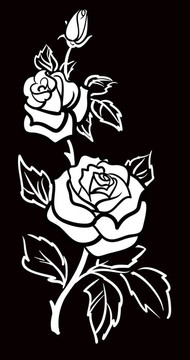 Rose flower W的圖形藝術(shù)