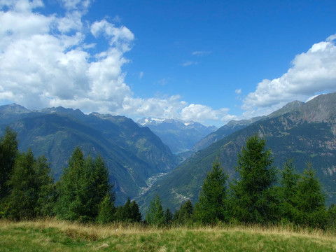 山