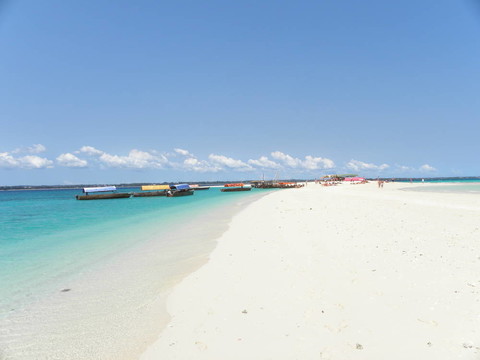 桑給巴爾海灘