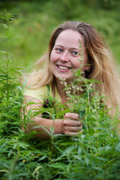 快樂的女人與新鮮大麻大麻廠