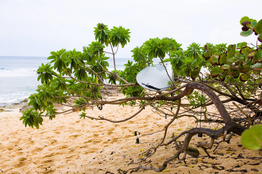 夏威夷海