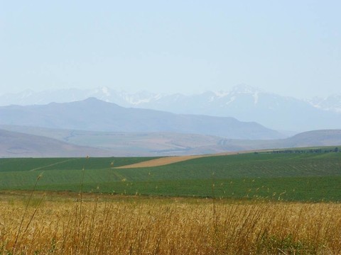 全景
