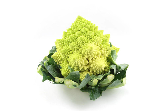 寶塔花菜