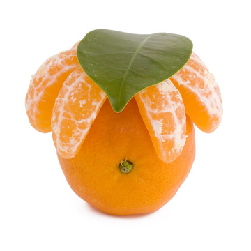 Tangerine夜店與葉