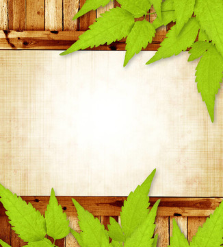 春天的消息