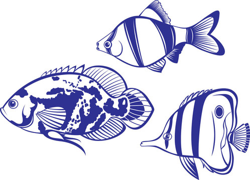 熱帶魚