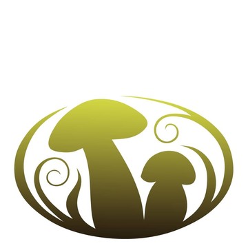 小蘑菇