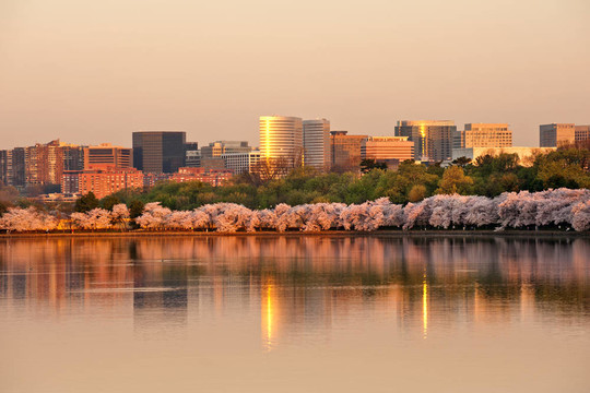 Rosslyn；VA
