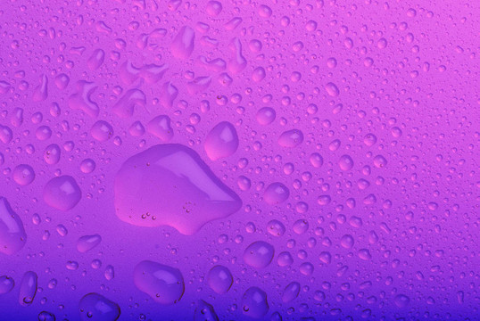 紫色的水滴