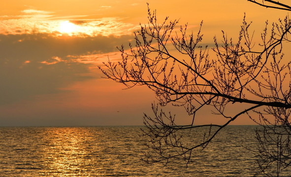 夕陽