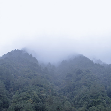 迷霧大明山