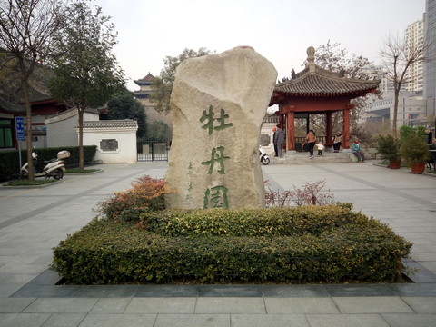 西安牡丹園