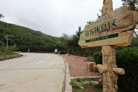 山間彎曲的公路