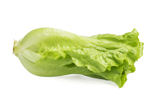 青菜 生菜