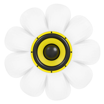 甘菊花與音頻揚(yáng)聲器