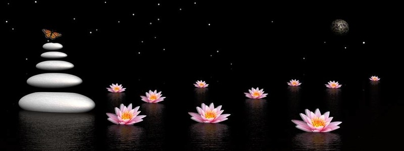 禪宗的夜晚
